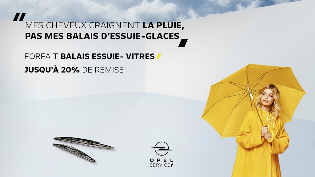 FORFAIT BALAIS ESSUIE-VITRES